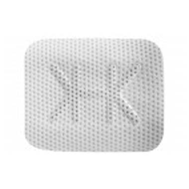 Cytoplast Ti-250 Posterior Singles 20x25mm (2枚入)
